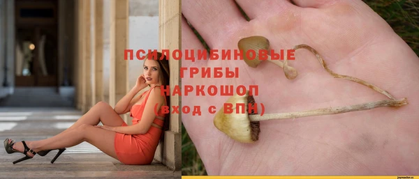 эйфоретик Няндома