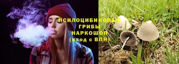 мет Армянск